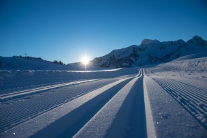 Langlaufen Damüls Alpina