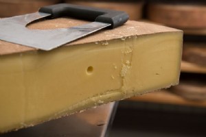 Käse Käse