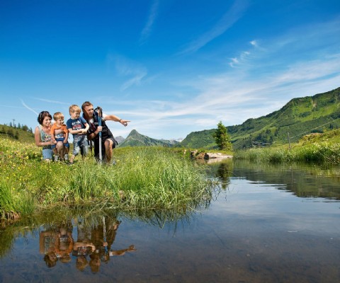 Berge und Wiese